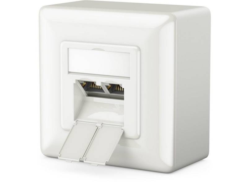 deleyCON deleyCON 1x CAT6a Netzwerkdose 2x RJ45 Port Geschirmt Aufputz Netzwerk-Adapter von deleyCON