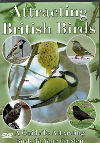 Attracting British Birds [DVD] [2006] von delta home entertainment