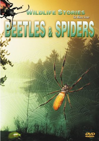 Beetles & Spiders [DVD] [Import] von delta