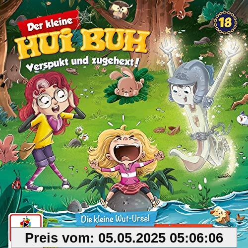 018/die Kleine Wut-Ursel/der Verzauberte Hexensc von der Kleine Hui Buh
