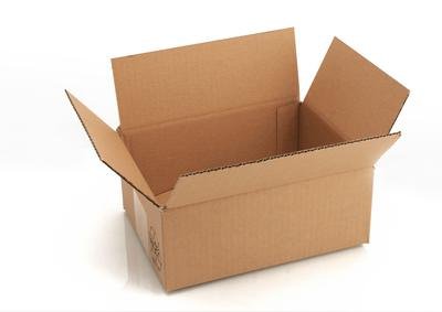 100 Faltschachteln Faltkartonagen Format 220x160x90mm Innenmaß von der-verpackungs-profi