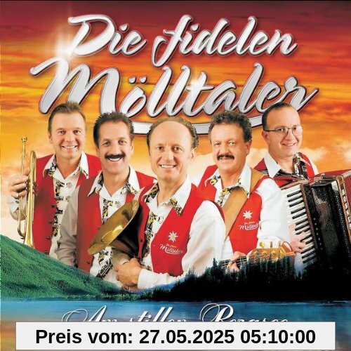 Am Stillen Bergsee Am Stillen Bergsee von die Fidelen Mölltaler