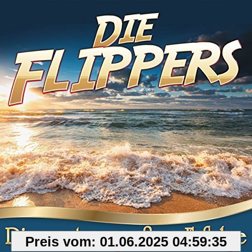 Die ersten großen Erfolge von die Flippers