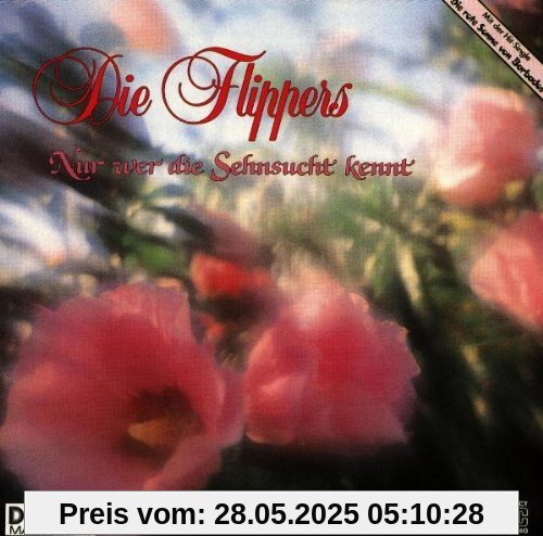 Nur wer die Sehnsucht kennt von die Flippers