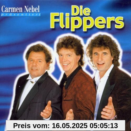 Sommertraeume von die Flippers