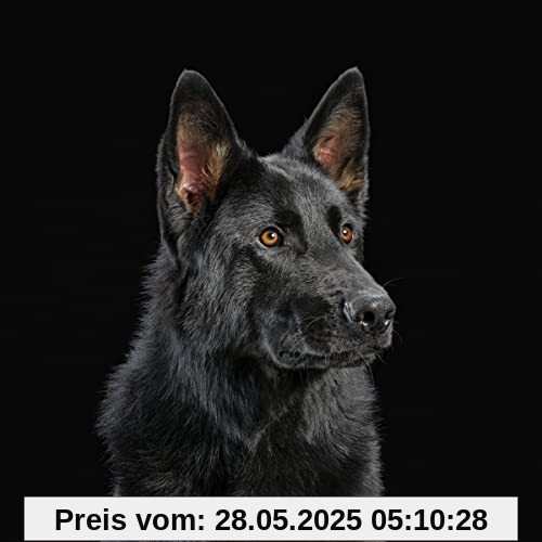 Die Nerven Die Nerven von die Nerven