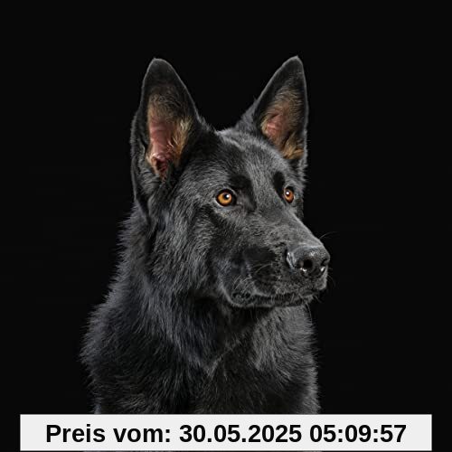 Die Nerven von die Nerven