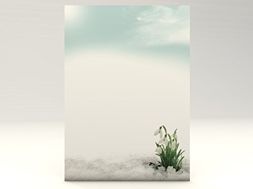 Frühlingsbriefpapier | Schneeglöckchen | 20 Blatt frühlingshaftes Motivpapier DIN A4 | florale Motive | Briefpapier von dirxbuschinger