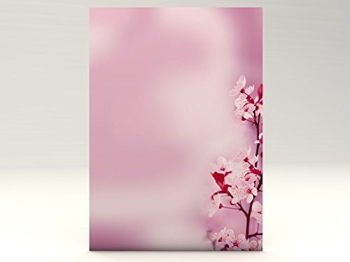 Motivpapier Kirschblüten, 100 Blatt Motivpapier DIN A4, 90g/qm von dirxbuschinger