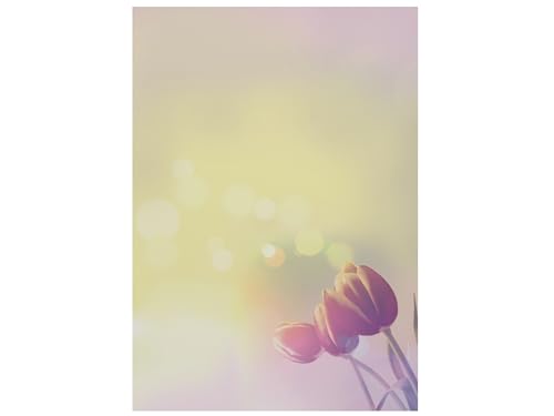 Motivpapier-Serie Tulpen im Sonnenlicht | Briefpapier DIN A4 | Kuverts DIN LANG | Kompett-Sets | Schreib-Set von dirxbuschinger