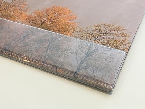 Schreibtischunterlage "Nebelwald" aus Papier | 25 Blatt DIN A2 | optional mit transparenter Schutzleiste | mit extra Kalenderblatt (mit transparenter Schutzleiste) von dirxbuschinger