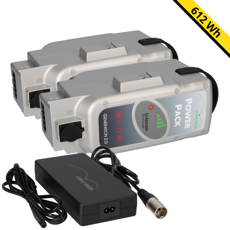 SET E-BIKE VISION Power Pack Ersatzakkus für Panasonic Deluxe-Antriebssystem 2x 36V 17Ah 612 Wh 4A Lader SET E-BIKE VISION Power Pack Ersatzakkus für Panasonic Deluxe-Antriebssystem 2x 36V 17Ah 612 Wh 4A Lader von e-Bike Vision