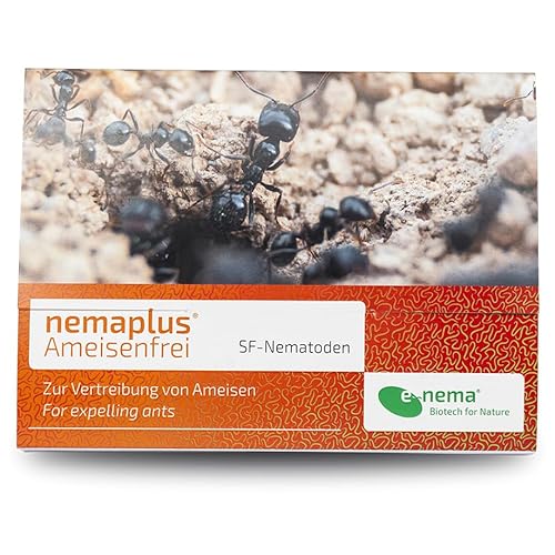 Ameisen bekämpfen mit e-nema SF Nematoden | 10 Mio. für 10 m² oder bis zu 10 Nester | Ameisenfrei Ameisen bekämpfen mit e-nema SF Nematoden | 10 Mio. für 10 m² oder bis zu 10 Nester | Ameisenfrei von e-nema Gesellschaft für Biotechnologie und biologischen Pflanzenschutz mbH