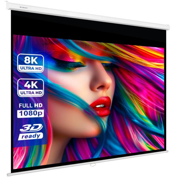 eSmart Germany Rollo Leinwand MIROLO 305 x 229 cm (150") 4:3 von eSmart