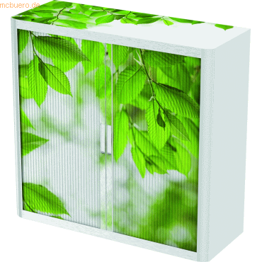 easyOffice Rollladenschrank easyoffice BxTxH 86x37,5x104cm Blätter easyOffice Rollladenschrank easyoffice BxTxH 86x37,5x104cm Blätter von easyOffice