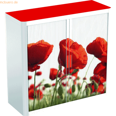 easyOffice Rollladenschrank easyoffice BxTxH 86x37,5x104cm Mohn von easyOffice