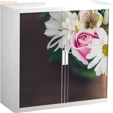 easyOffice Rollladenschrank easyoffice BxTxH 86x37,5x104cm Rose von easyOffice