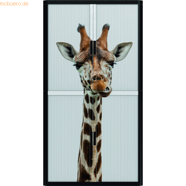 easyOffice Rollladenschrank easyoffice BxTxH 86x37,5x204cm Giraffe von easyOffice