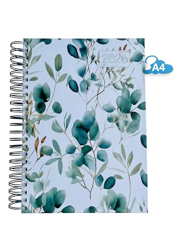 edition cumulus 2026 Der GROSSE Dicke – DIN A4 Kalender - EUCALYPTUS (Blätter) MADE IN GERMANY - großzügiger Platz für deine täglichen Termine - perfekt für Büro und Zuhause von edition cumulus