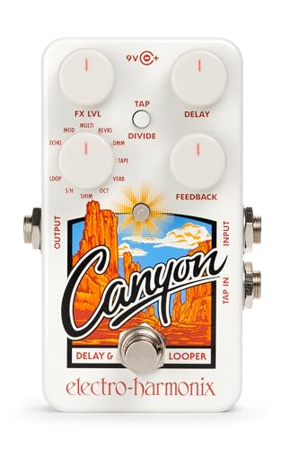 Electro-Harmonix Canyon Delay / Looper von electro-harmonix