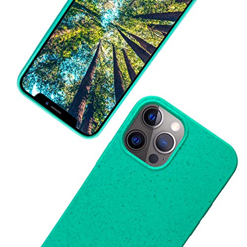 eplanita Bio iPhone 12 Mini Hülle, Biologisch abbaubar Pflanzenfaser und weiche TPU, Drop-Schutz-Abdeckung, Umweltfreundlich Null Müll (iPhone 12 Mini, Minze) von eplanita