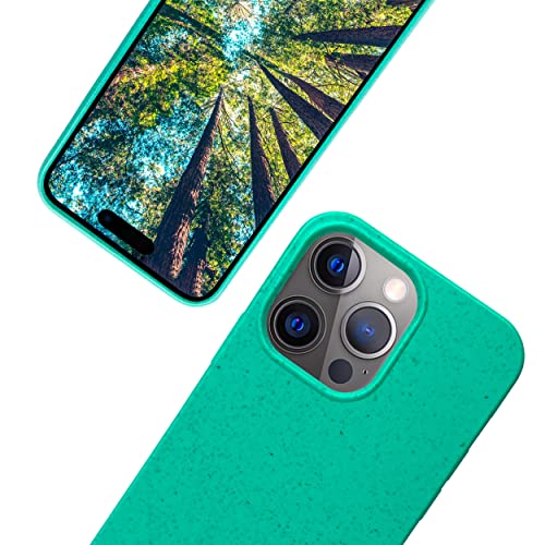 eplanita Bio iPhone 14 Pro Hülle, Biologisch abbaubar Pflanzenfaser und weiche TPU, Drop-Schutz-Abdeckung, Umweltfreundlich Null Müll (iPhone 14 Pro, Minze) von eplanita