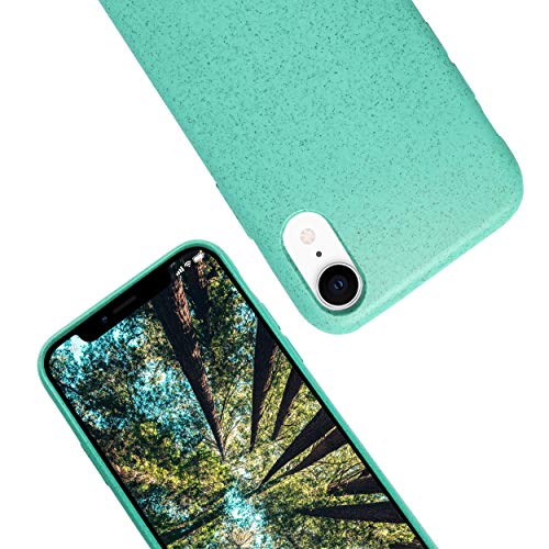 eplanita Eco iPhone XR Hülle, Biologisch abbaubar und Kompostierbar, Pflanzenfaser und weiche TPU, Drop-Schutz-Abdeckung, Umweltfreundlich Null Müll (Minze) von eplanita