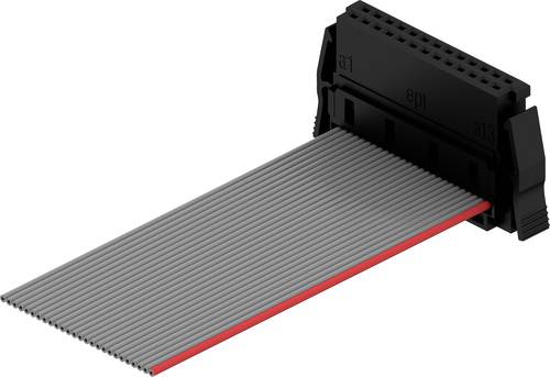 Ept 404-6150-100-120-1 IDC-Steckverbinder Gesamtpolzahl 50 Anzahl Reihen 2 10St. Ept 404-6150-100-120-1 IDC-Steckverbinder Gesamtpolzahl 50 Anzahl Reihen 2 10St. von ept