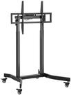 Equip Bodenstandhalter 55-100/1TFT 120kg schwarz lite Retail (650632) von equip