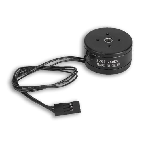 Bürstenloser Motor Hohlwelle, 260 kV bürstenloser Motor für den Außenbereich, Kamera-Gimbal-Rc-Drohnen, Zubehör für 808-Kamera-Gimbal-Rc-Drohnen ((2204)) von equlup