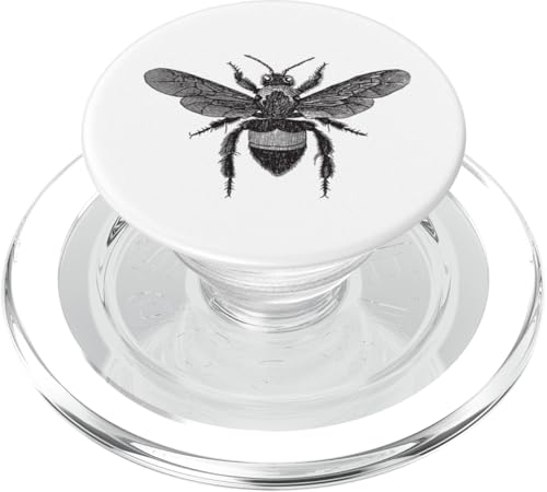 Bienen-Vintage-Illustration PopSockets PopGrip für MagSafe von es designs