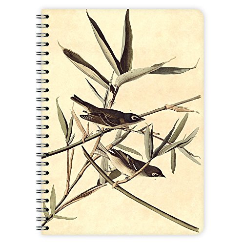 etmamu 442 Notizblock Vögel Flycatcher A5, 60 Blatt blanko etmamu 442 Notizblock Vögel Flycatcher A5, 60 Blatt blanko von etmamu