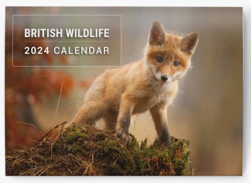 2024 Wandkalender British Wildlife Monatsplaner Familie Home Office Organizer A3 Monatsansicht von evelay