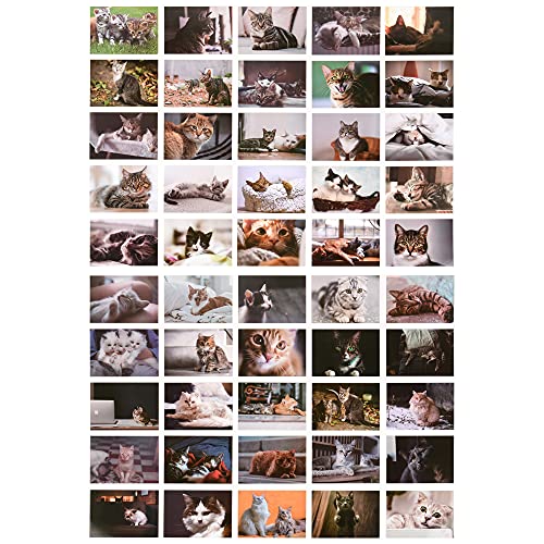 ewtshop® Postkarten Set mit süßen Katzenmotiven, 50 unterschiedliche Motive, 50 Stück, Katzenpostkarten von ewtshop