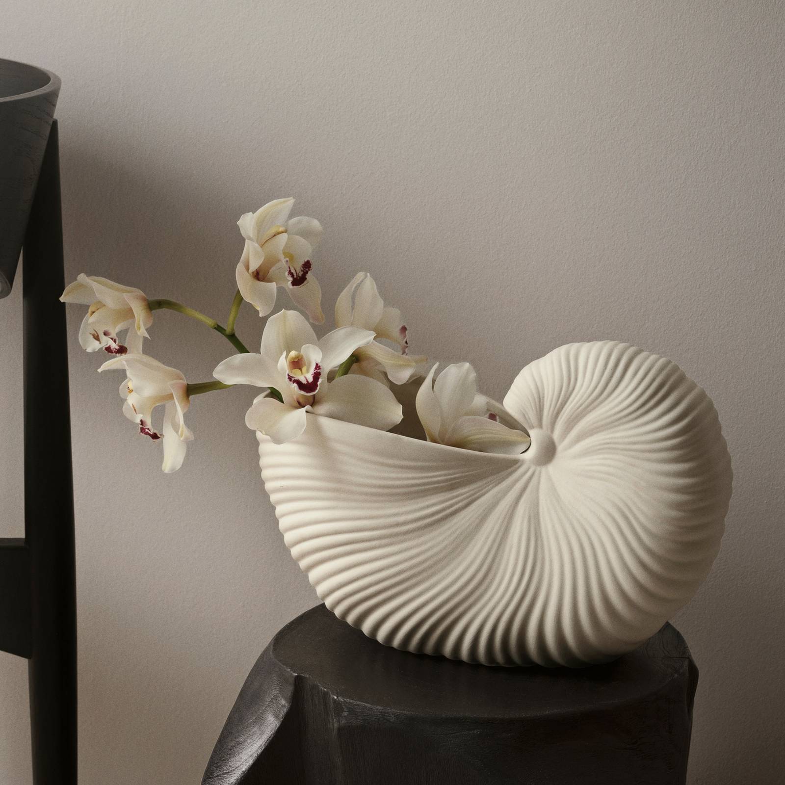 ferm LIVING Vase Shell, weiß, Breite 31 cm, Keramik ferm LIVING Vase Shell, weiß, Breite 31 cm, Keramik von ferm LIVING