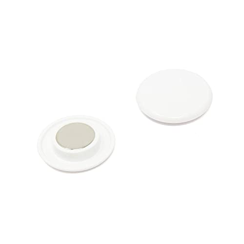 Hochleistungs - Weißplanungsbüro - Magnet Für Kühlschrank, Whiteboard, Notizboard 40mm x 11mm Hoch - Pack von 120 Hochleistungs - Weißplanungsbüro - Magnet Für Kühlschrank, Whiteboard, Notizboard 40mm x 11mm Hoch - Pack von 120 von first4magnets