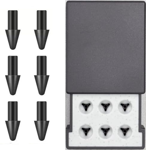 6 Stück Original: Spitzen für bemerkenswerte Paper Pro Stiftspitzen, Ersatzspitzen für bemerkenswerte Paper Pro Pen Spitzen, kohlenstoffgefüllte Spitzen/Federn mit Aufbewahrungsbox (6 x Paper Pro Pen von fllynewrite