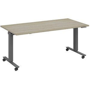 fm Topspin elektrisch höhenverstellbarer Schreibtisch eiche, anthrazit metallic rechteckig, T-Fuß-Gestell mit Rollen grau 180,0 x 80,0 cm fm Topspin elektrisch höhenverstellbarer Schreibtisch eiche, anthrazit metallic rechteckig, T-Fuß-Gestell mit Rollen grau 180,0 x 80,0 cm von fm