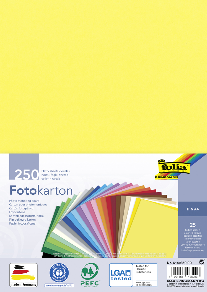 folia Fotokarton, DIN A4, 300 g/qm, sortiert von folia