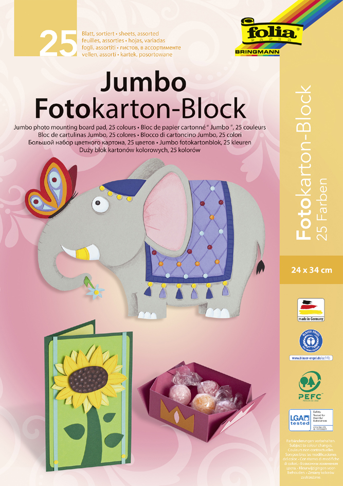 folia Jumbo Fotokartonblock, (B)240 x (H)340 mm, 300 g/qm von folia
