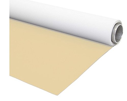 Vinyl-Hintergrund,Wendbar, Vinyl, Beige/Weiß 250CMX500CM von fondart