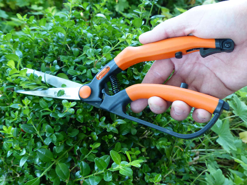 Garten PRIMUS Buchsbaumschere, klein, Länge: 260 mm Garten PRIMUS Buchsbaumschere, klein, Länge: 260 mm von garten primus