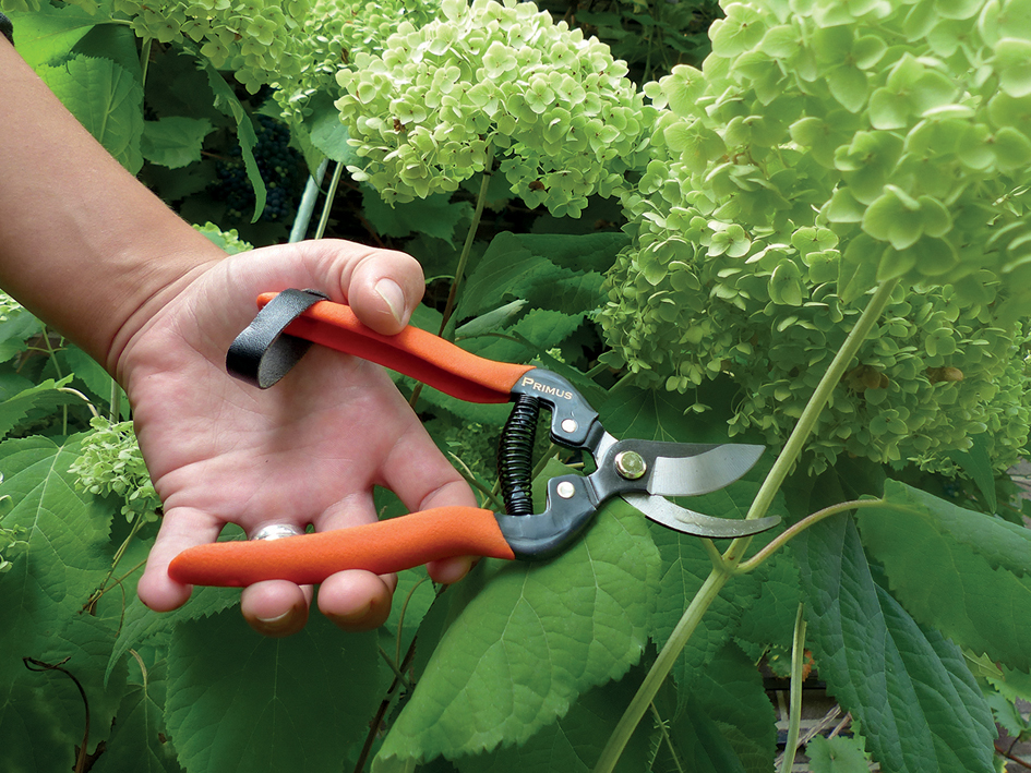 Garten PRIMUS Gartenschere , RosenWunderschere, Garten PRIMUS Gartenschere , RosenWunderschere, von garten primus