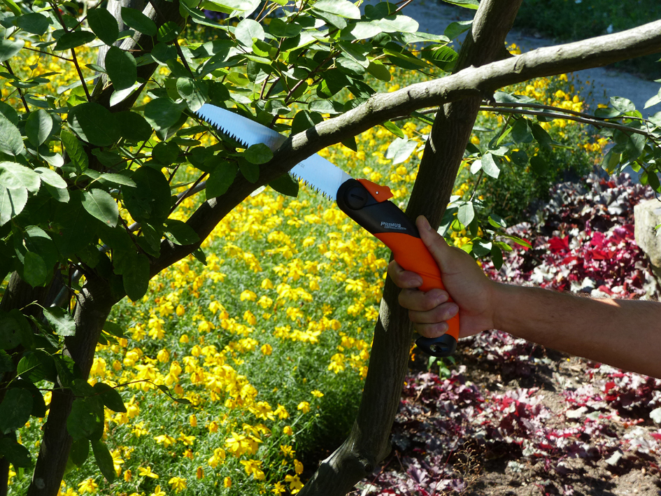 Garten PRIMUS Klappsäge , Hai-Speed, , Blattlänge: 180 mm Garten PRIMUS Klappsäge , Hai-Speed, , Blattlänge: 180 mm von garten primus