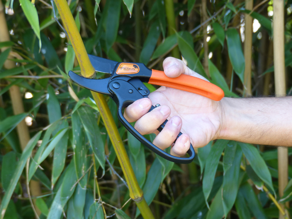 Garten PRIMUS Ratschenschere mit 1-Hand-Verschluss-System Garten PRIMUS Ratschenschere mit 1-Hand-Verschluss-System von garten primus