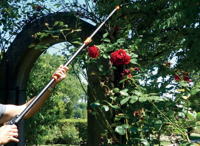 Garten PRIMUS Schneidgiraffe Rosenkavalier, teleskopierbar von garten primus