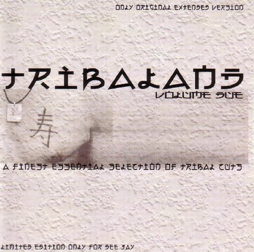 Tribaland Vol.2 Tribaland Vol.2 von ZYX Music