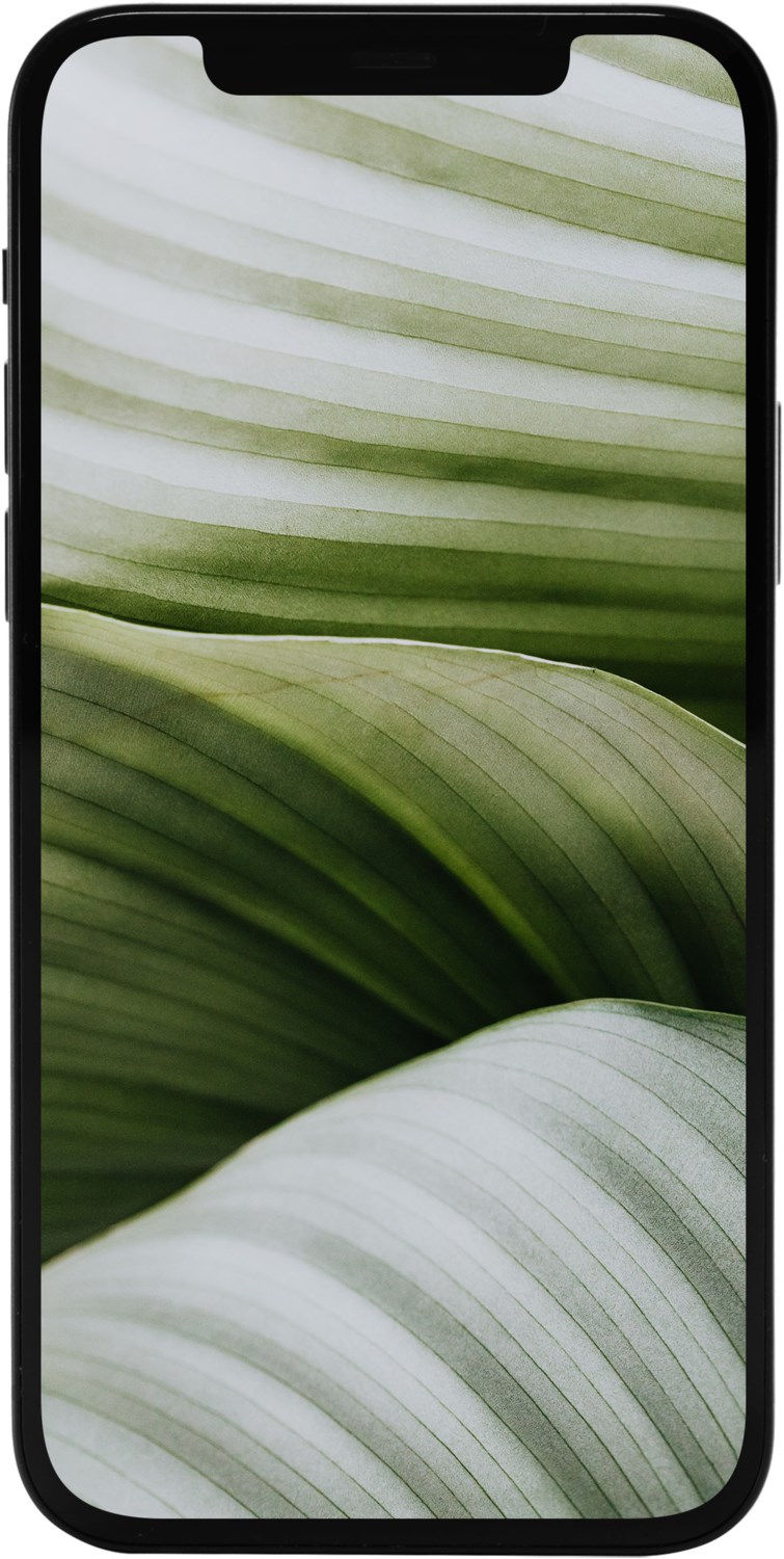 iPhone 12 mini (64GB) Refurbished Smartphone schwarz von #goeco