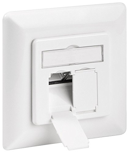Goobay 68246 CAT 6 Unterputzdose (UP) / 2x RJ45 UAE Dose / 1 Gigabit Ethernet / Datendose / Netzwerkdose für Unterputz / Geschirmt von goobay