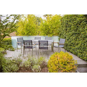 greemotion Sitzgruppe Boston 2, silber Textilene, Metall, 7-teilig von greemotion
